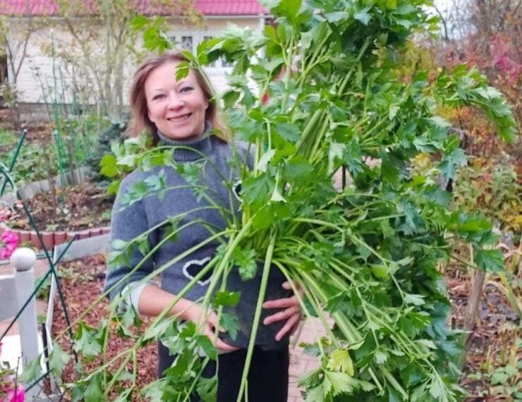 ����� ���������, ����������� � ��������� ���������