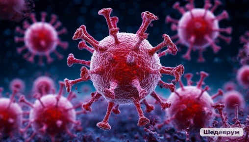 ������������ � ���������� �����: �������������� ���� � ������� ����� �� ����