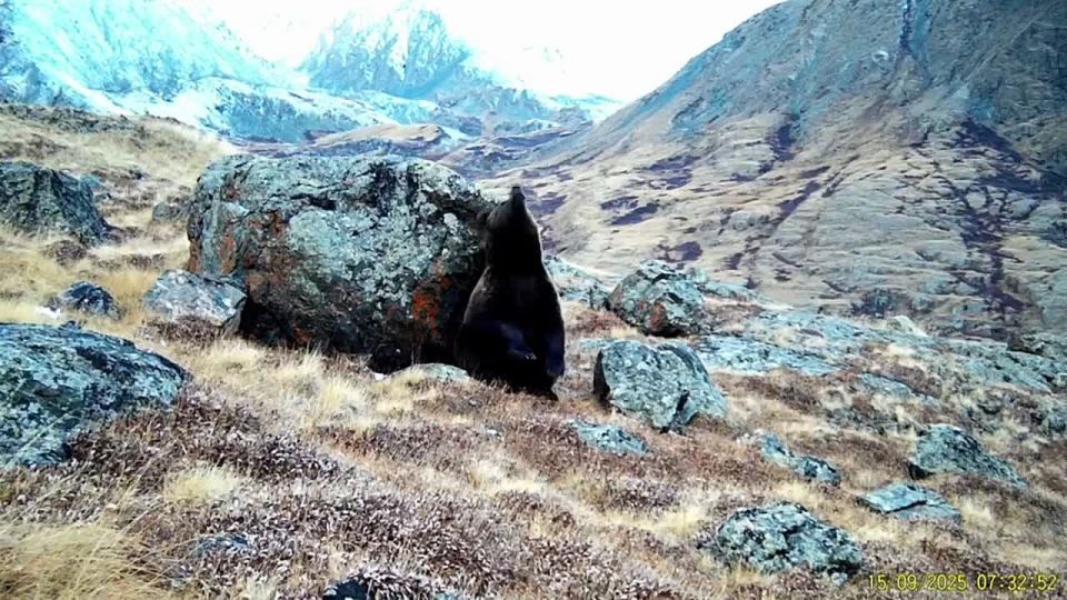 ���������� ������� ����� ����������� � ������������ ������������ ����� � ���������� ����� (�� � ����������� ������������� ��� ��� �� ��� ���� �������� )