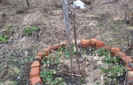 ����������� ������: ��� ������ ������� � ������ �����