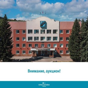 Внимание, аукцион! . Остались сутки до окончания приема заявок