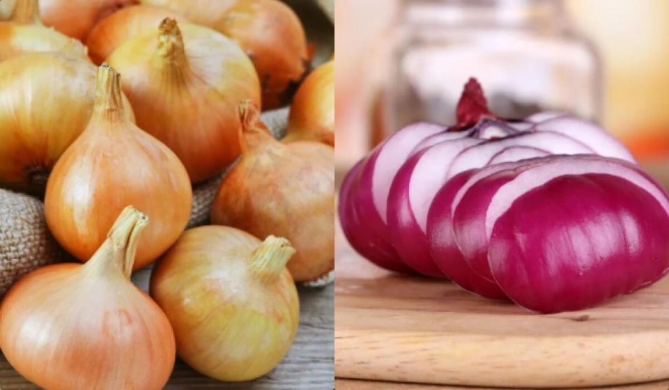 ��� ��������� ��� ������ �� ����� �������: ������� ������ �� ��������