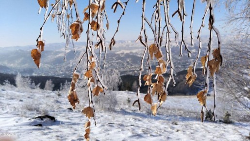 #���������������. *** � �� ����� ����������� ��������