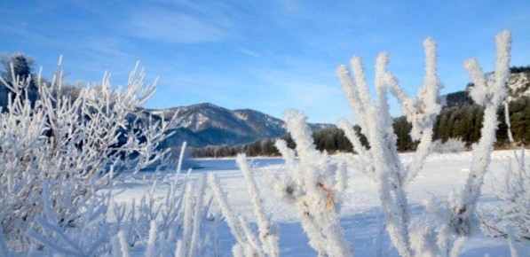 ������� ������ � ���������� ����� ���������� ��� ������� �� ����� ������, ������������ ���������