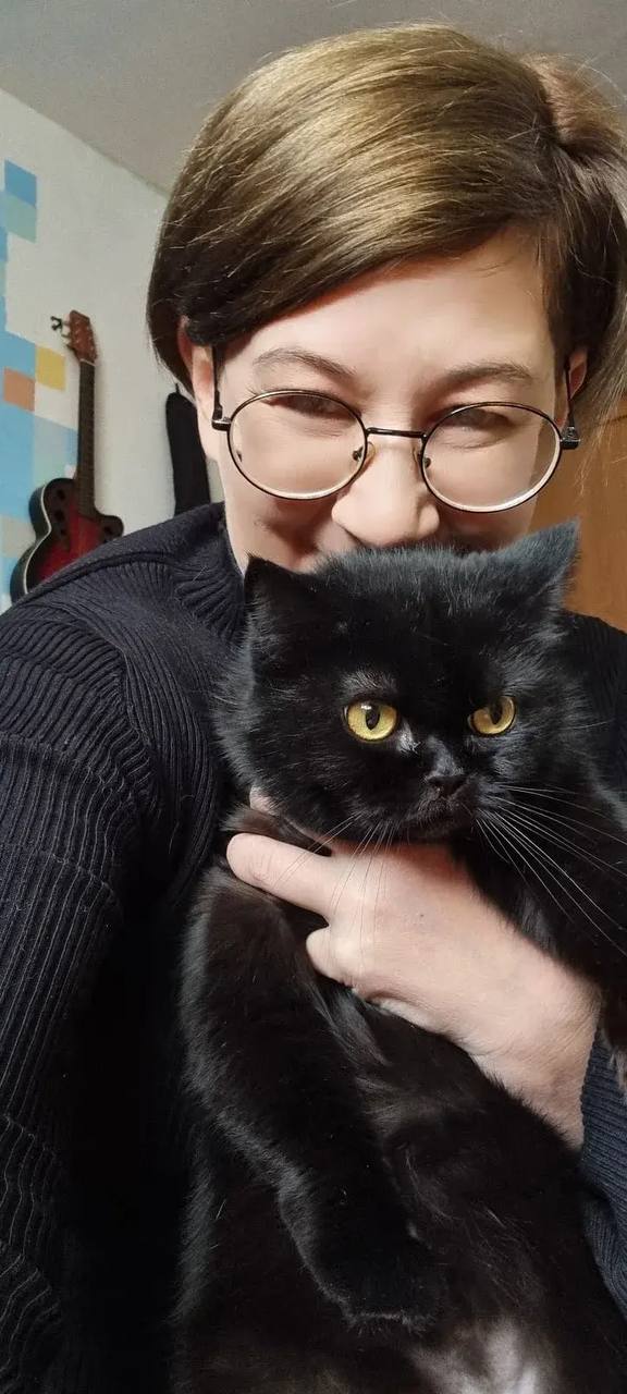 1 марта — День кошек в России! 1 марта — День кошек в России!