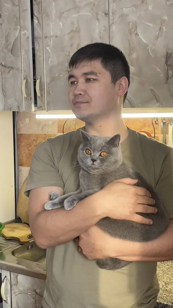 1 марта — День кошек в России! 1 марта — День кошек в России!