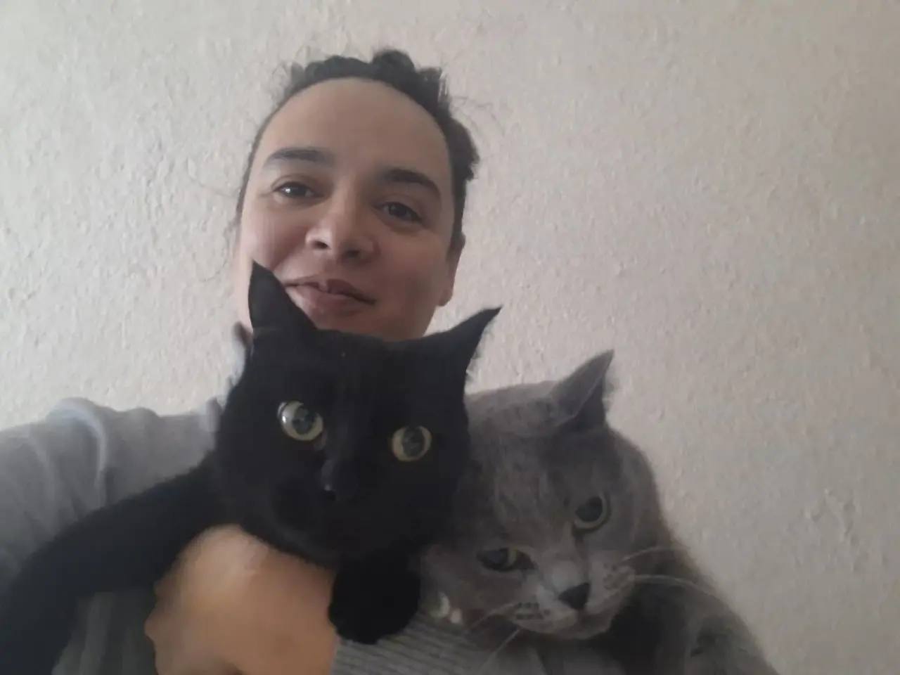 1 марта — День кошек в России! 1 марта — День кошек в России!