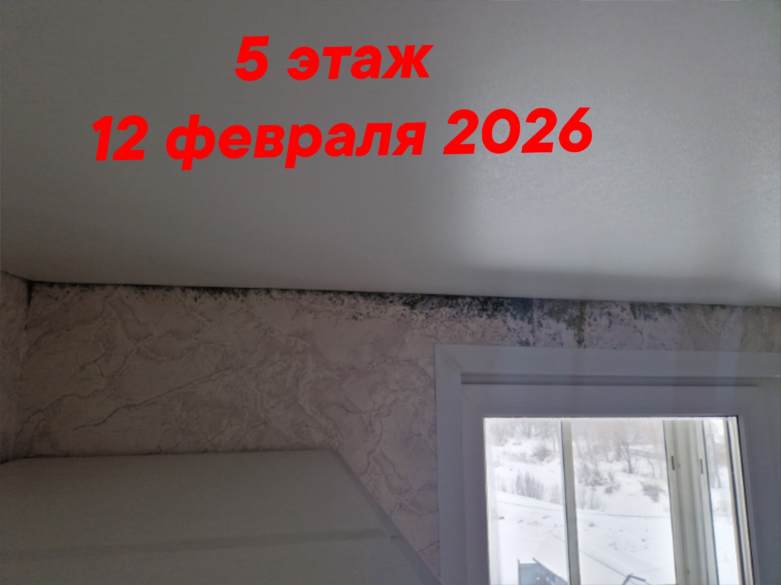 Добрый день! Крик души.. 03.07.2025 года в селе Кызыл-Озёк по улице Ипподромная, дом 35, корпус 1, дети-сироты получили свои долгожданные квартиры. Спустя пару месяцев жильцы начали сталкиваться с неприятностями: горячая...