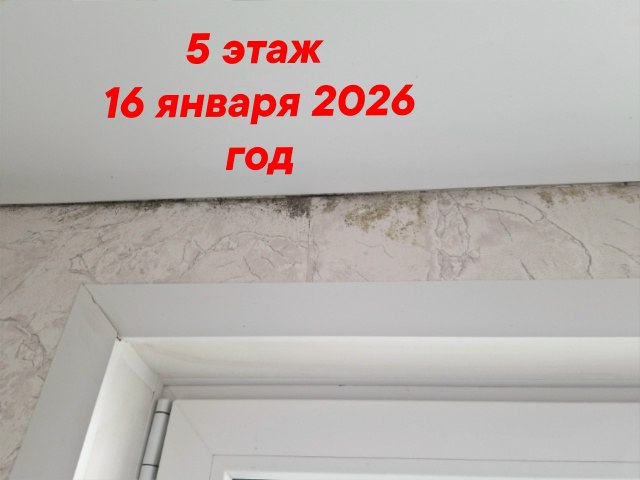 Добрый день! Крик души.. 03.07.2025 года в селе Кызыл-Озёк по улице Ипподромная, дом 35, корпус 1, дети-сироты получили свои долгожданные квартиры. Спустя пару месяцев жильцы начали сталкиваться с неприятностями: горячая... Добрый день! Крик души.. 03.07.2025 года в селе Кызыл-Озёк по улице Ипподромная, дом 35, корпус 1, дети-сироты получили свои долгожданные квартиры. Спустя пару месяцев жильцы начали сталкиваться с неприятностями: горячая...