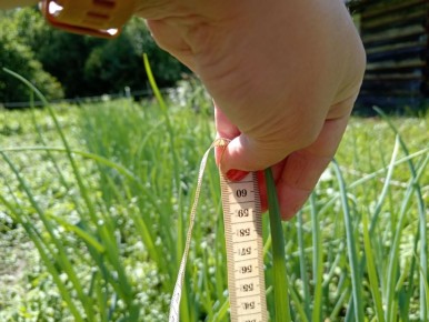 ��� ��������� �� 60 ��: ������� ��������� ��� ������