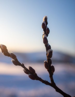 ������ �����, ���� ������ � ������������ �����-��������, ����� ��� �����