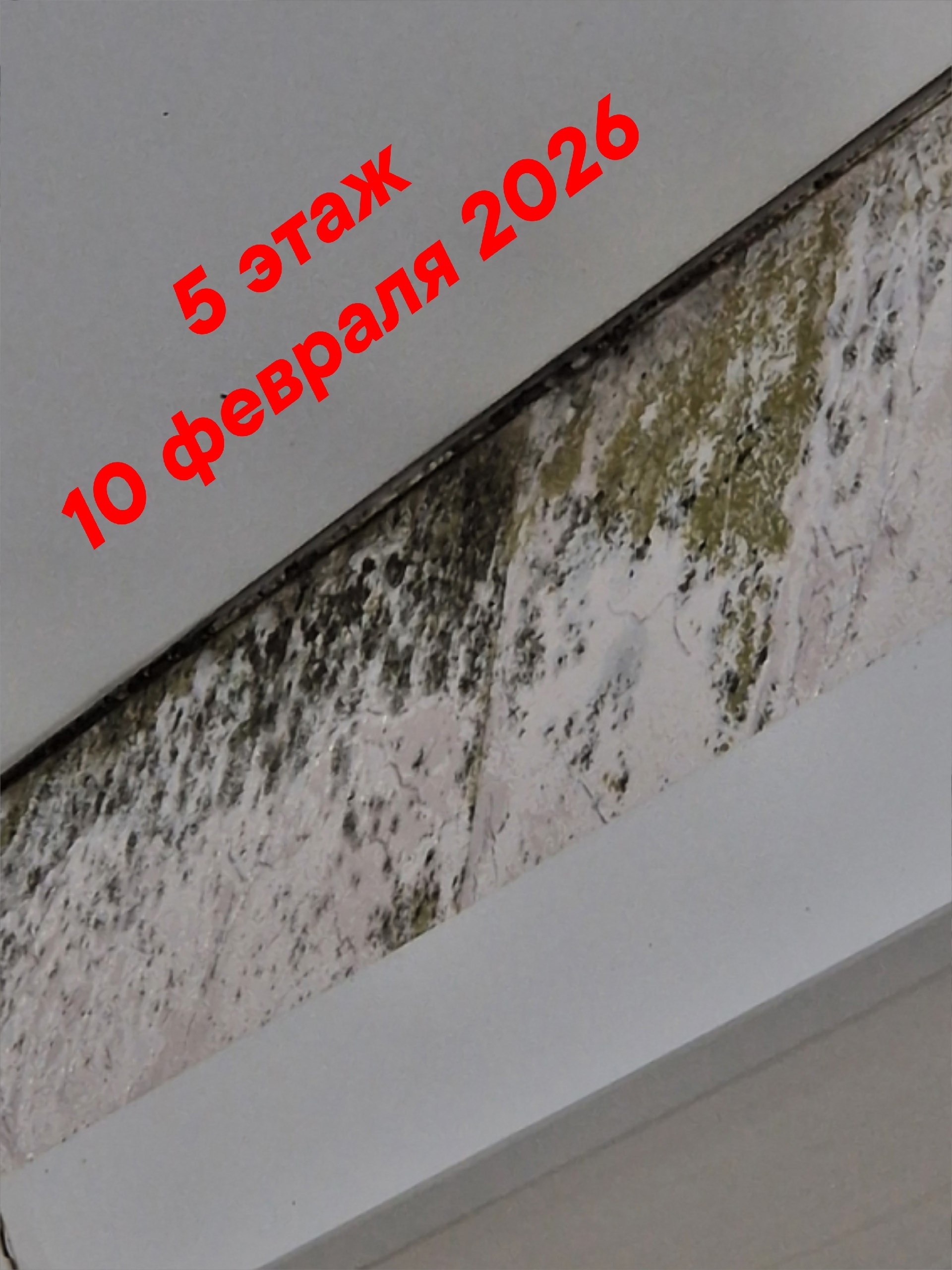 Добрый день! Крик души.. 03.07.2025 года в селе Кызыл-Озёк по улице Ипподромная, дом 35, корпус 1, дети-сироты получили свои долгожданные квартиры. Спустя пару месяцев жильцы начали сталкиваться с неприятностями: горячая... Добрый день! Крик души.. 03.07.2025 года в селе Кызыл-Озёк по улице Ипподромная, дом 35, корпус 1, дети-сироты получили свои долгожданные квартиры. Спустя пару месяцев жильцы начали сталкиваться с неприятностями: горячая...