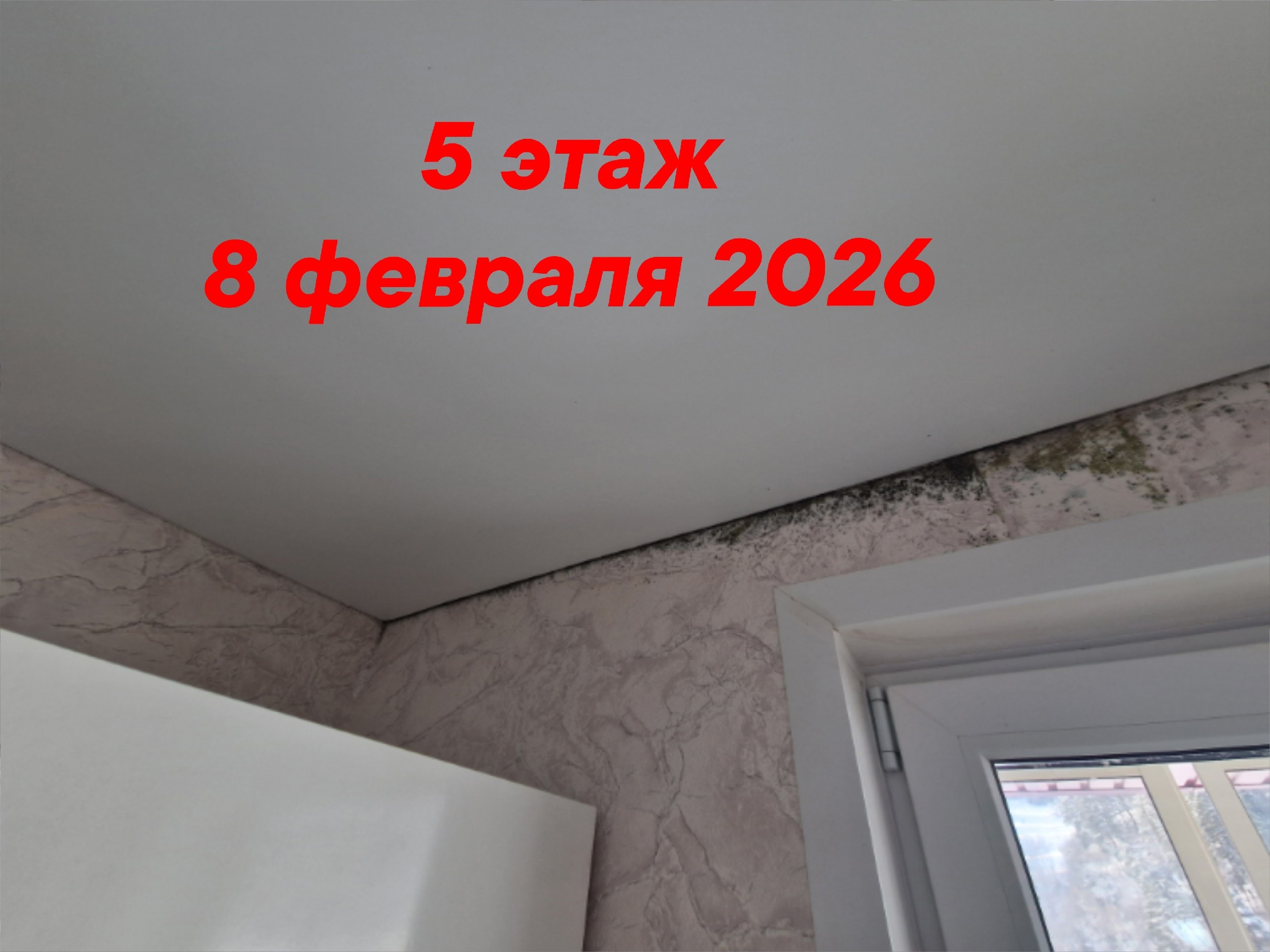 Добрый день! Крик души.. 03.07.2025 года в селе Кызыл-Озёк по улице Ипподромная, дом 35, корпус 1, дети-сироты получили свои долгожданные квартиры. Спустя пару месяцев жильцы начали сталкиваться с неприятностями: горячая... Добрый день! Крик души.. 03.07.2025 года в селе Кызыл-Озёк по улице Ипподромная, дом 35, корпус 1, дети-сироты получили свои долгожданные квартиры. Спустя пару месяцев жильцы начали сталкиваться с неприятностями: горячая...