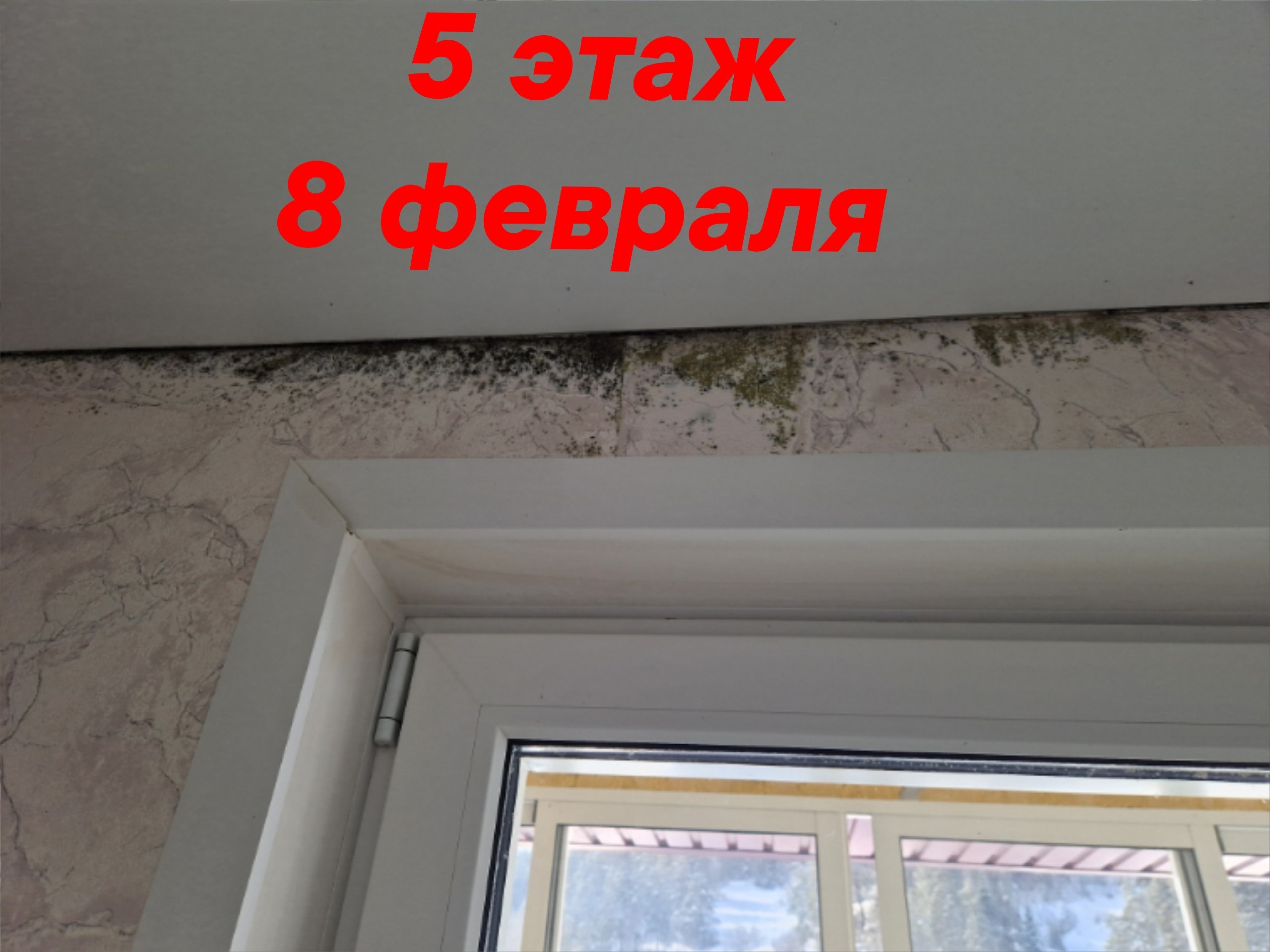 Добрый день! Крик души.. 03.07.2025 года в селе Кызыл-Озёк по улице Ипподромная, дом 35, корпус 1, дети-сироты получили свои долгожданные квартиры. Спустя пару месяцев жильцы начали сталкиваться с неприятностями: горячая... Добрый день! Крик души.. 03.07.2025 года в селе Кызыл-Озёк по улице Ипподромная, дом 35, корпус 1, дети-сироты получили свои долгожданные квартиры. Спустя пару месяцев жильцы начали сталкиваться с неприятностями: горячая...