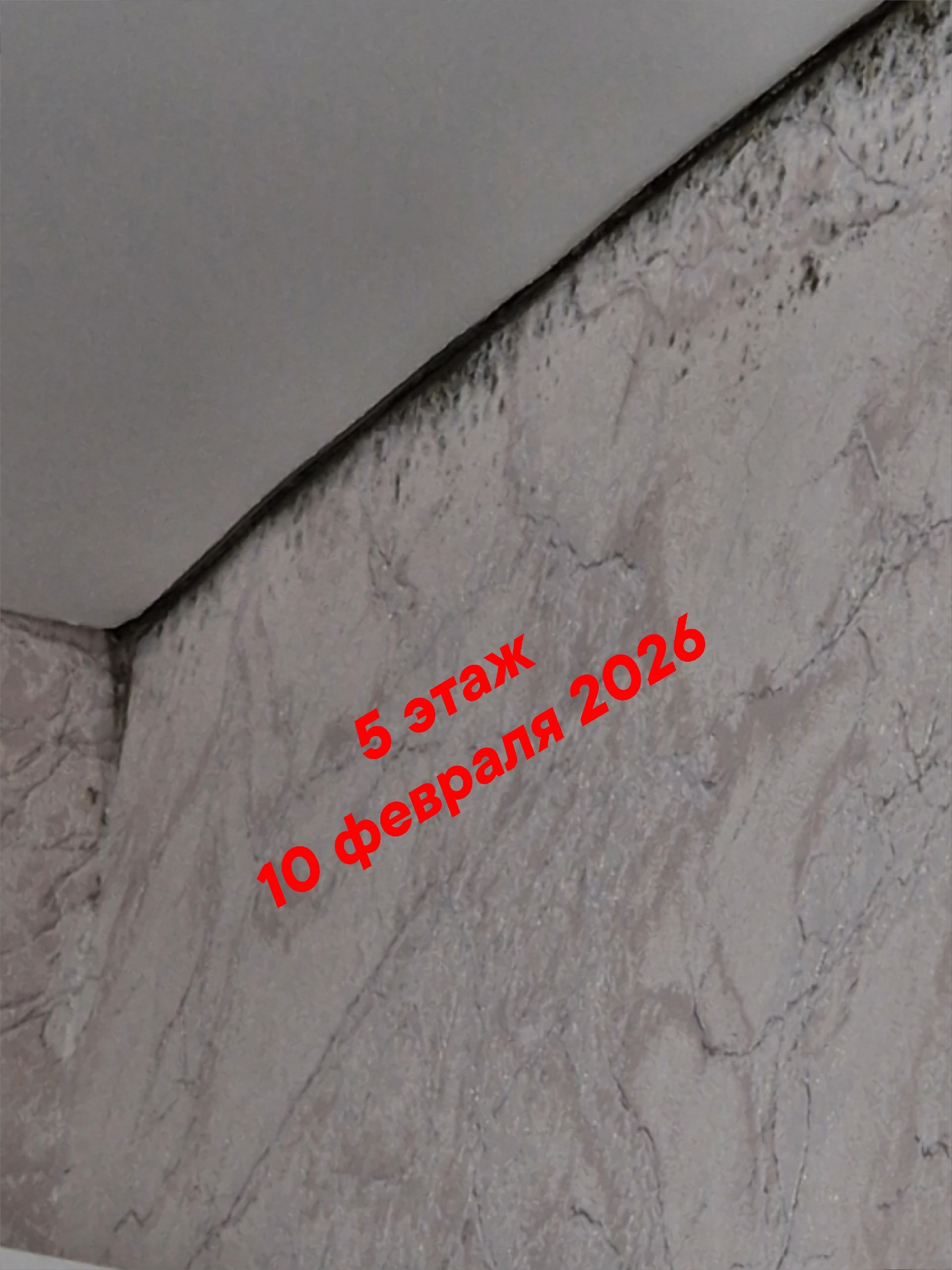 Добрый день! Крик души.. 03.07.2025 года в селе Кызыл-Озёк по улице Ипподромная, дом 35, корпус 1, дети-сироты получили свои долгожданные квартиры. Спустя пару месяцев жильцы начали сталкиваться с неприятностями: горячая... Добрый день! Крик души.. 03.07.2025 года в селе Кызыл-Озёк по улице Ипподромная, дом 35, корпус 1, дети-сироты получили свои долгожданные квартиры. Спустя пару месяцев жильцы начали сталкиваться с неприятностями: горячая...