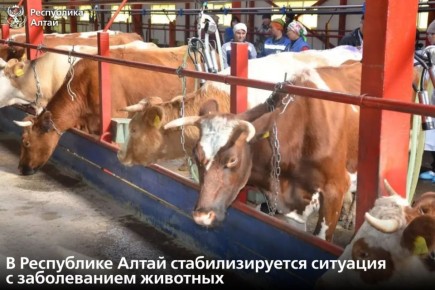 � 5 ������� � ���������� �� ������������� ����� ������� ����������� ���������������