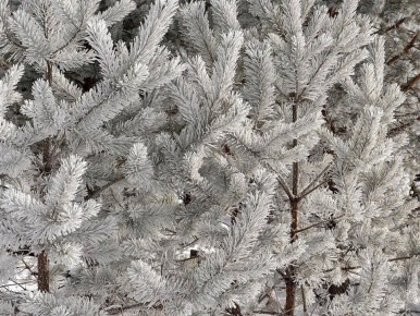 Начало весны на Телецком озере