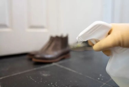 ������� ������: surfaces, ������������� ��� ������������