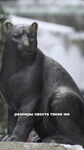 «Повара на колесах» приехали в Горно-Алтайск, чтобы посмотреть на красоту местной природы, на квадроциклах заехать на Голубые озера, посетить национальное жилище и принять участие в народных играх