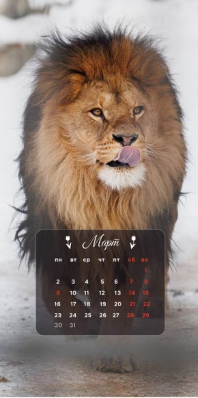 ������ ����. ��������� �� ���� � ������������ ��������! ����: �. ��������, �. �����/������������� ������� ������������ �� ����� �� ����� ���� | ��������