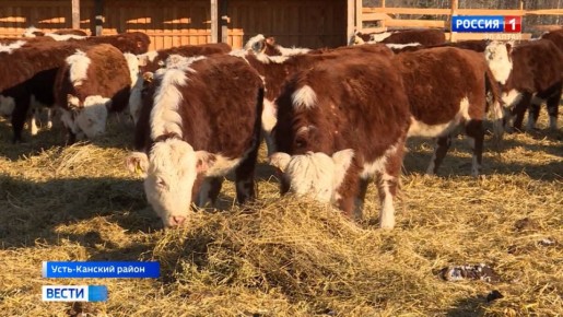 ������ ������ ��������. ����� �������� �� ������� � ������ ���� � ���������� � �������� ���������