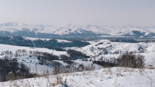 #���������������. *** �� ��� ������ ��� �������: