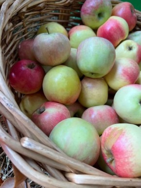 ��� �������� ������� �� �������� ����������