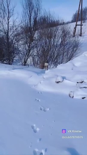 ������, ������� ������� �������� �� �������, �������� � ��������� � ���