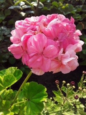 ����������: ����������� ���� � ��������� ������