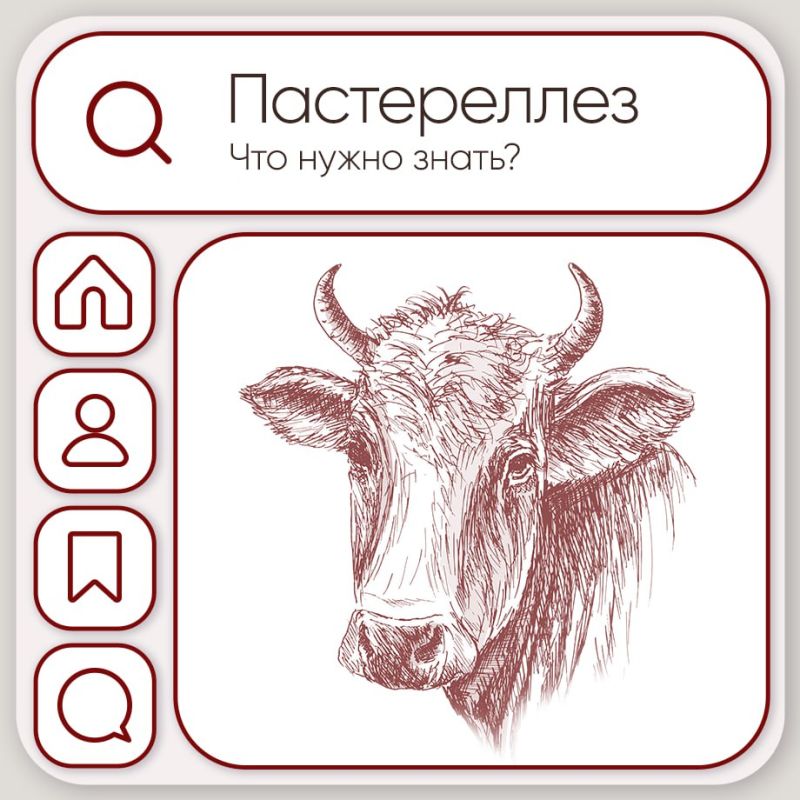 ���������� ����� ������ � ������������