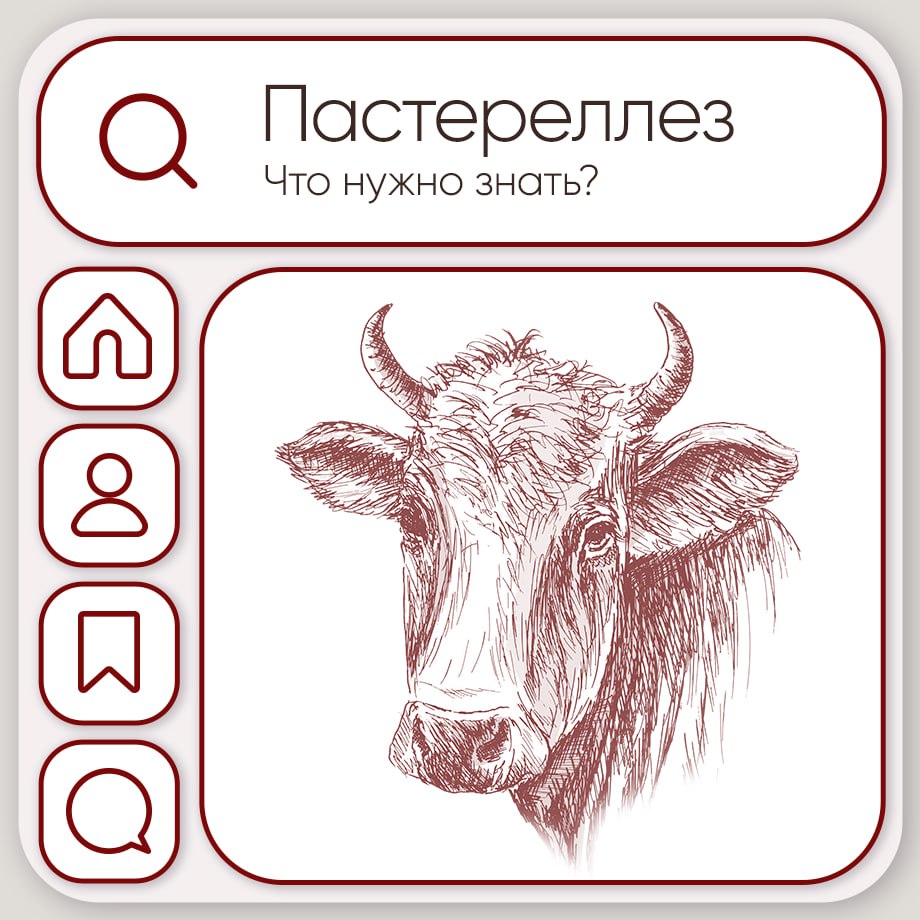 Закрепляем самое важное о пастереллезе