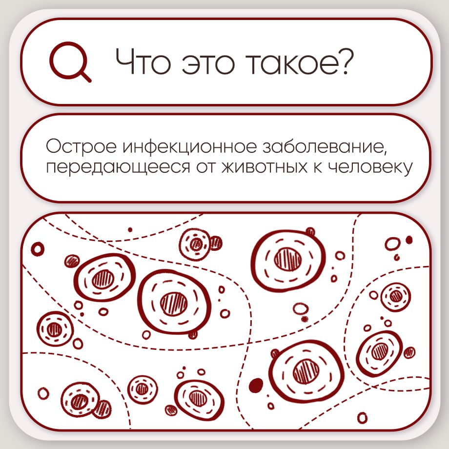 Закрепляем самое важное о пастереллезе Закрепляем самое важное о пастереллезе