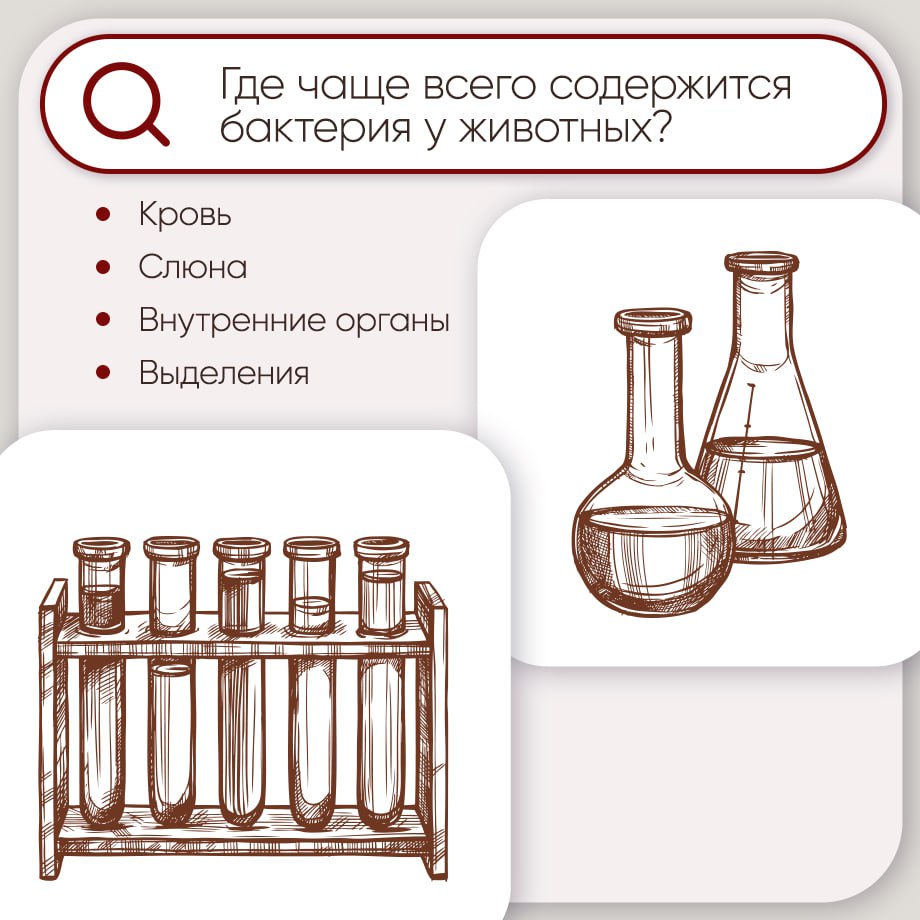 Закрепляем самое важное о пастереллезе Закрепляем самое важное о пастереллезе