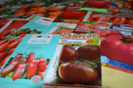 ����� ����� ������, ����� � ���������: ������ �� ������� ��������� � �����