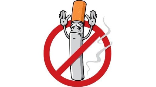 ������� ������ � ����� � �����-�������� ������� �� ������� ����