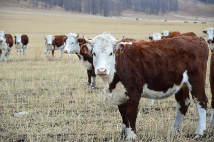 ������������ ��������� ��������� ���������� ����� ��������� ������ �� ���������� ����� ������ �� ����������� ��������� �������������������� ��������