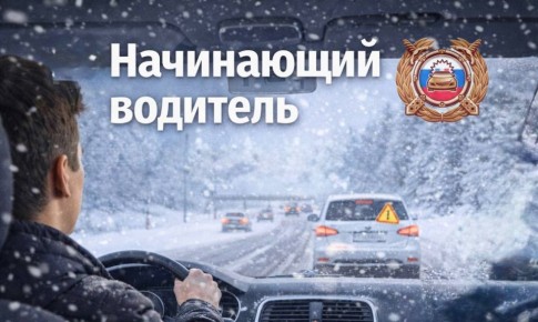 Начинающий водитель: первые два года за рулём