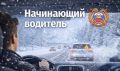Начинающий водитель: первые два года за рулём