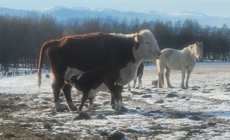 �������� ����-���� �������� �����: � 15 �������� �� �����