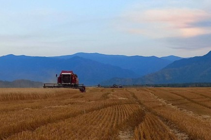 ������ ������: ���������� ����� � ���� ���� ������� ��������� � ������ ��������������