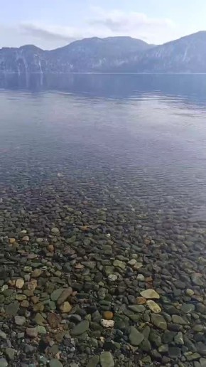 Нежность весеннего Телецкого