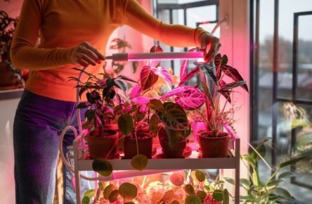 ��� ��������� ������ ����� ��������� ��������