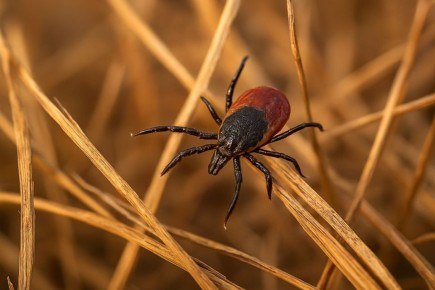 ������ ������ ������������ ����� ��������������� � ���������� �����