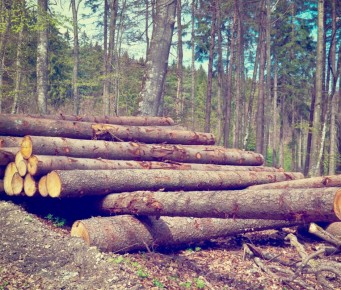 ����� ���������� ����� ������ ������ ����������� ���������� � ������������������� �������� �������� ��������� ������� �� ������� ��������� ���� � ����������� ������