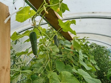 ��������� ������� � �������: ������� ��������� ������ �� �����