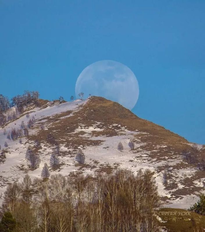 ���� ����������!. ����: ������ ����