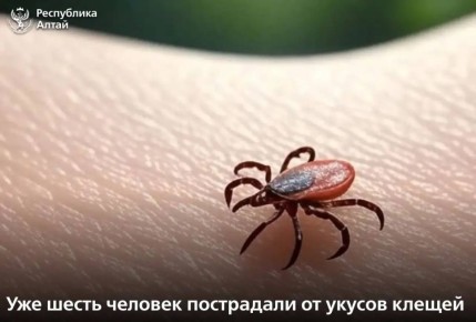 � ������� �� ������ ������ ���������� ��� ����� �������