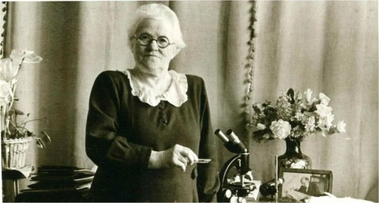 ��� ������������ ���� �������� ��������� ��������