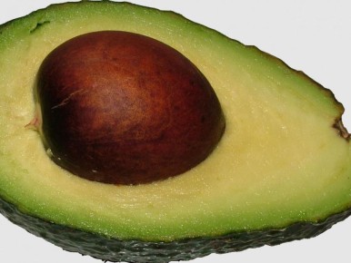 Как правильно выбрать и подготовить авокадо для проращивания