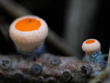 ������ ����� �������� � ��������� �����������!